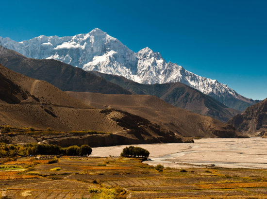 Annapurna And Tilicho Trek 