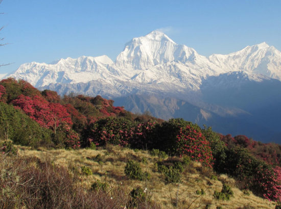 Annapurna Conservation Area 