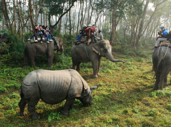 Chitwan National Park 