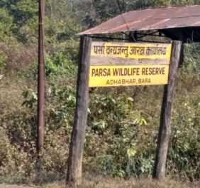 Parsa Wildlife Reserve