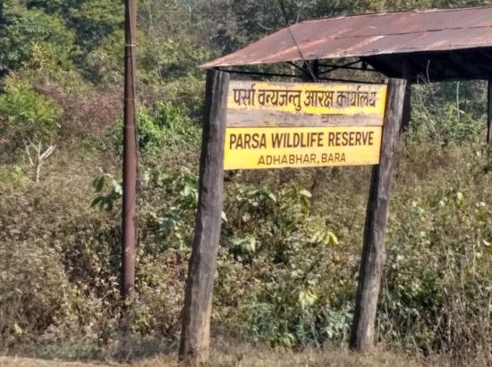 Parsa Wildlife Reserve 