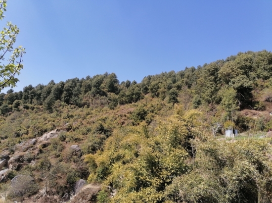 Shivapuri Day Hiking 
