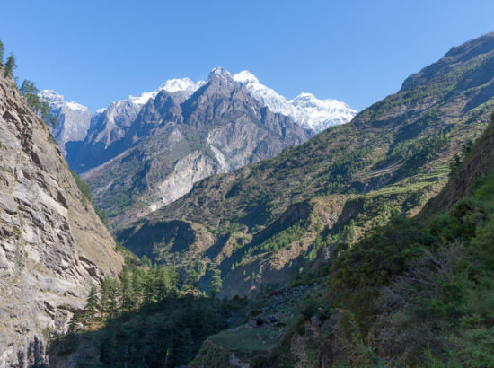 Trek Around Himalayas 