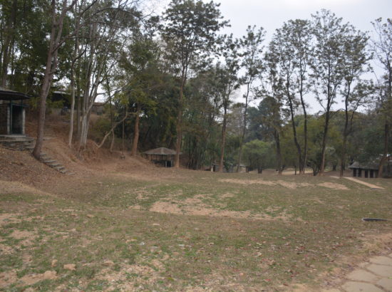Tribhuvan Park 