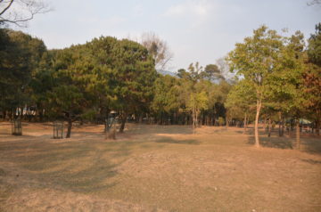Tribhuvan Park