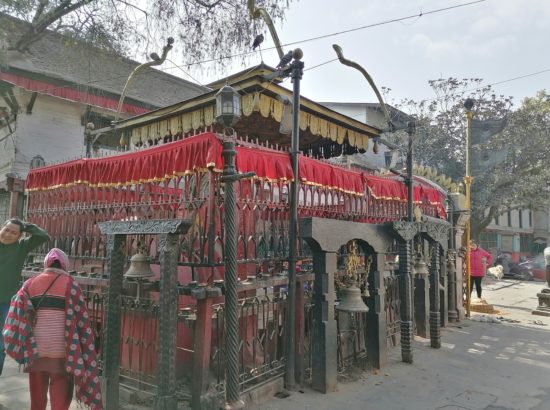 Bhadrakali Temple 