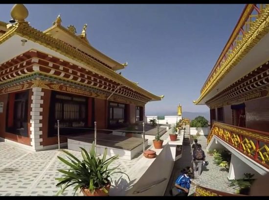 Thrangu Tashi Yangtse Monastery 