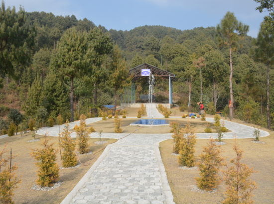 Sahid Park 