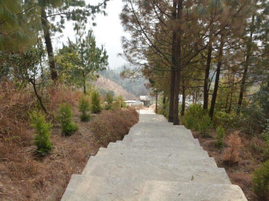 Sahid Park 