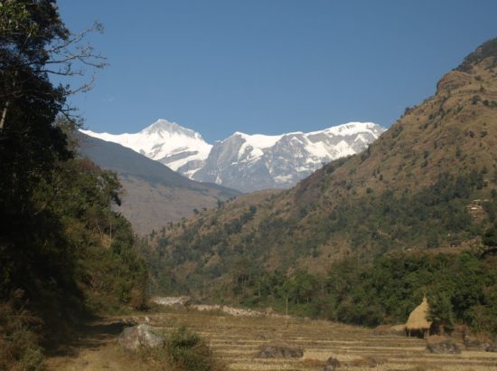 Gurung Village Trek – 11 Days 