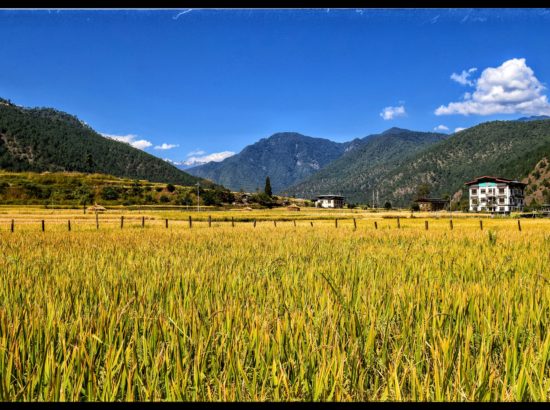 Bhutan Tour – 5 Days 