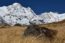 Annapurna Base Camp Trek – 11 Days