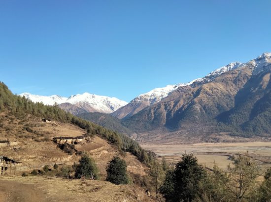 Blue Sheep & Himalayan Tahr Hunting In Nepal 